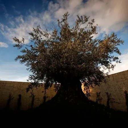 Szálloda Foro Appio Mansio