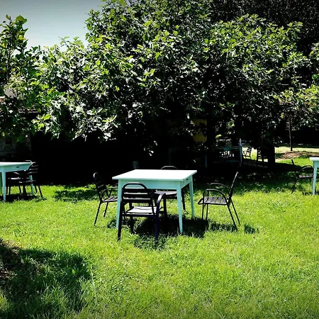 Foro Appio Mansio Hotel Latina