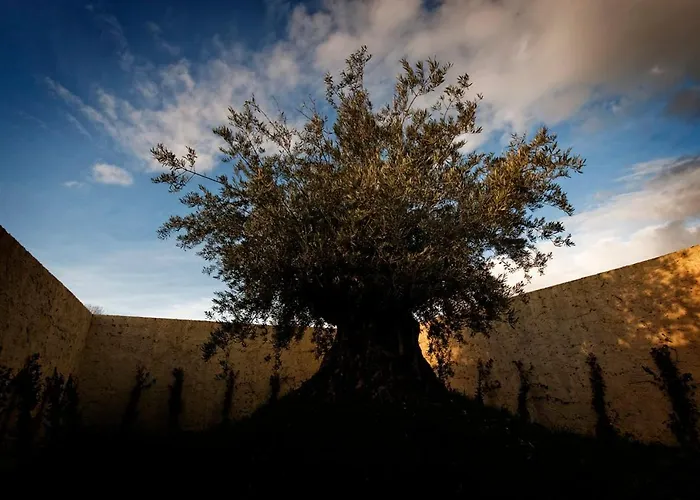 Hotel Foro Appio Mansio