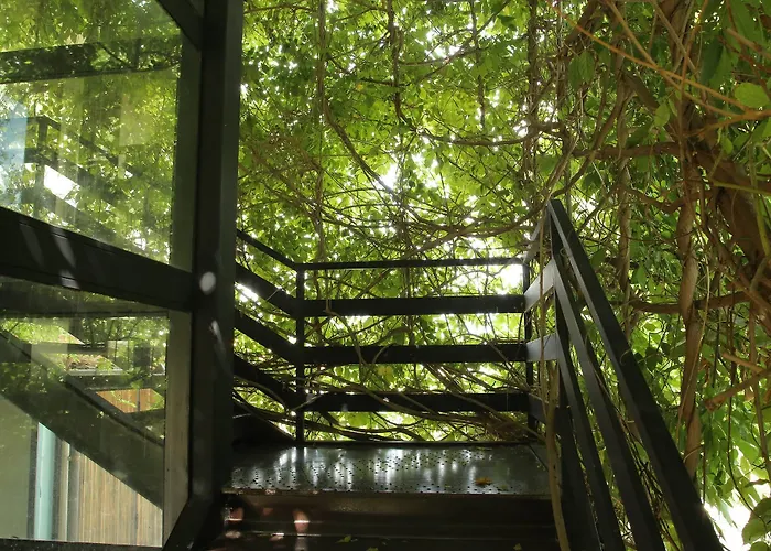 Foro Appio Mansio Latina