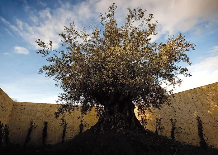 Foro Appio Mansio Latina